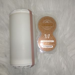 Scentsy go and pods lot